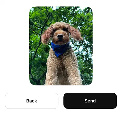Threads Adds Image Sharing in DMs