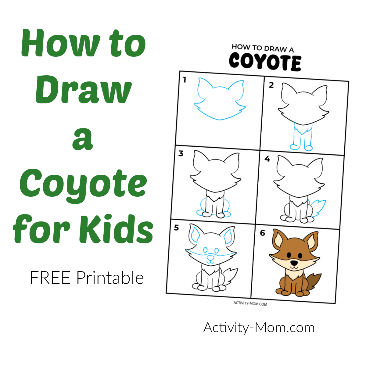 Step by Step How to Draw...